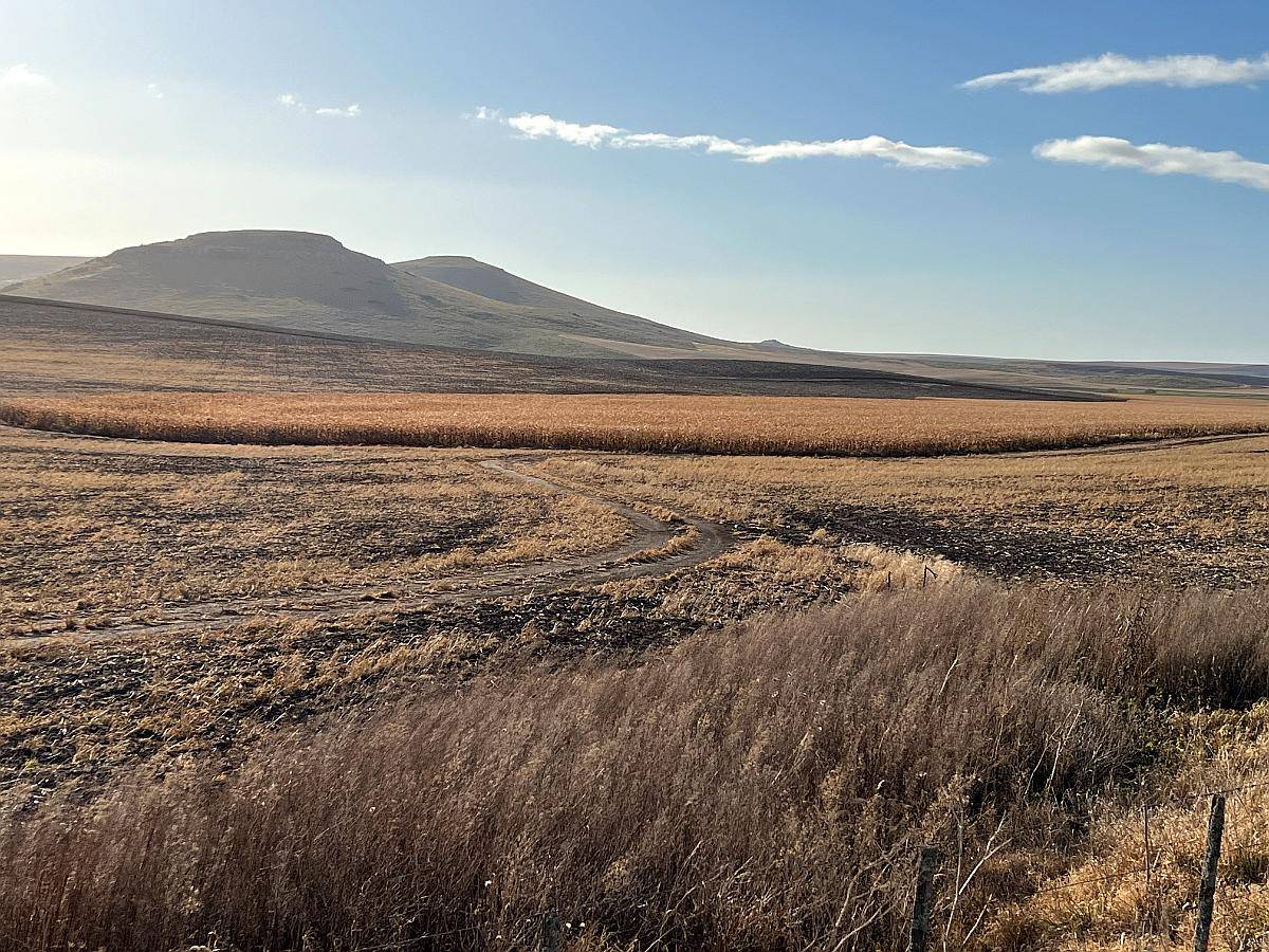 NORDHEIMER CAMPOS Y ESTANCIAS