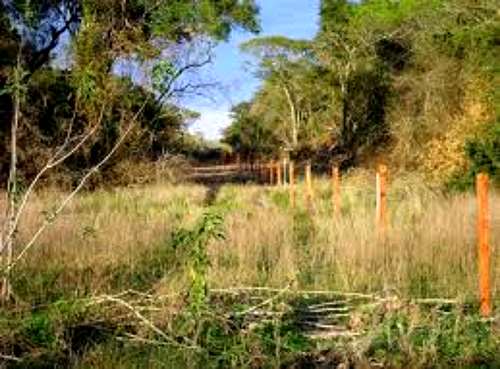 3200 Has Zona Laguna Yema - u$s 350 / ha - Agroads (cod 3200 Has Zona Laguna Yema - u$s 350 / ha - Agroads (cod